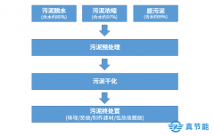 污泥處置詳解：危廢污泥處理的步驟是什么？